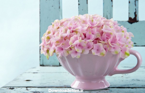 عکس گلدان گل صورتی خوشگل pink flower pot