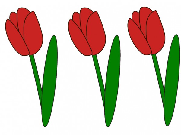 عکس گل لاله قرمز برای نقاشی