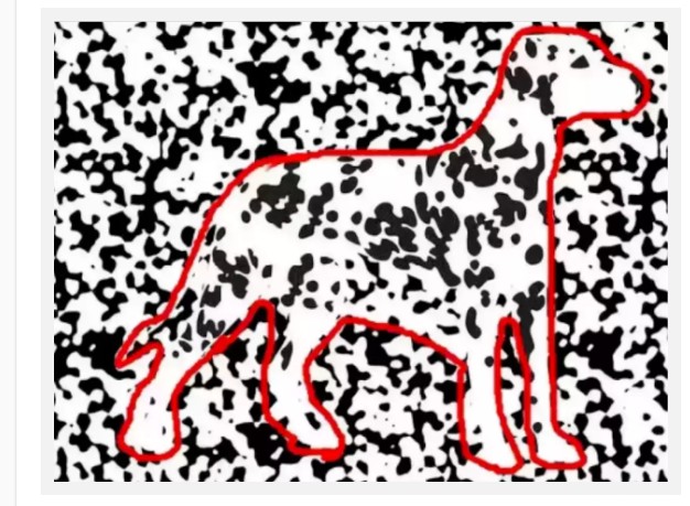 حیوان پنهان میان نقاط سیاه و سفید