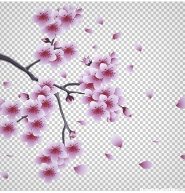 دانلود فایل دوربری شده شکوفه های صورتی با فرمت png