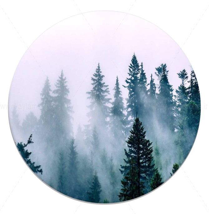 تابلو بوم دایره طرح جنگل کاج | تابلو بوم آیلاموند - طرح زیبای جنگل کاج