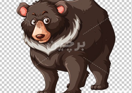 Borchin-ir-brown bear cartoon transparent animal large photo_png عکس کارتونی خرس قهوه ای بصورت دوربری شده و با کیفیت چاپی۲