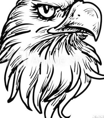 عکس نقاشی عقاب روی دست