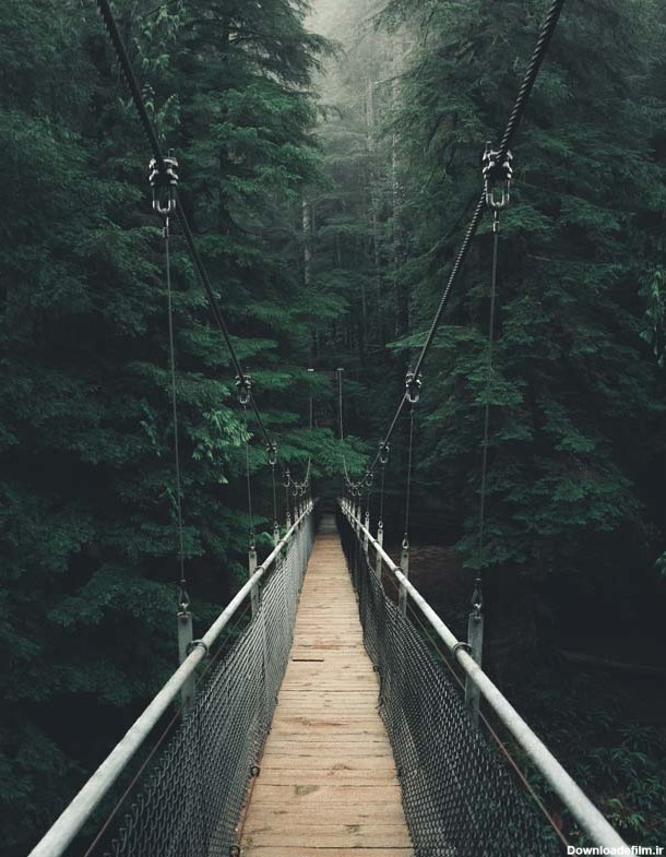 تصویر باکیفیت پل معلق بر روی رودخانه در جنگل