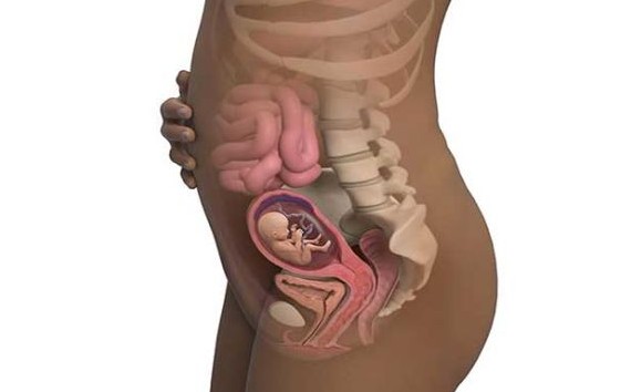 عکس بچه دختر در شکم مادر