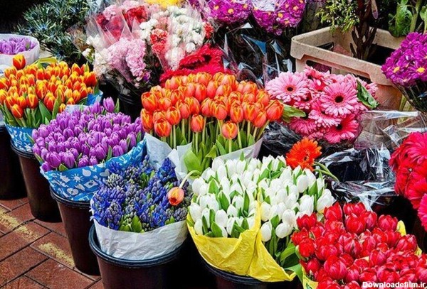 فرارو | معرفی ۹ بازار گل در تهران