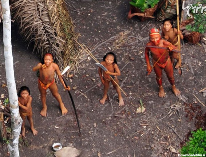 حقایق عجیب درباره جنگل آمازون