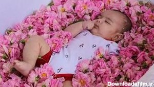عکس کودک با گل آفتابگردان