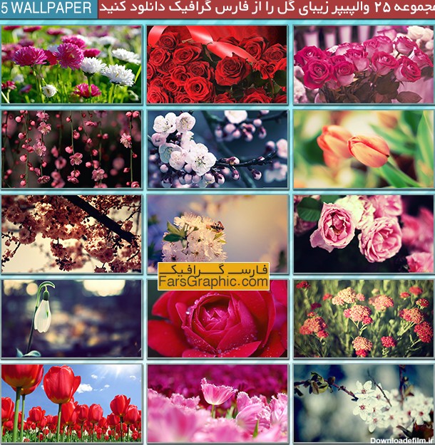 دانلود مجموعه ۲۵ والپیپر زیبای گل - فارس گرافیک