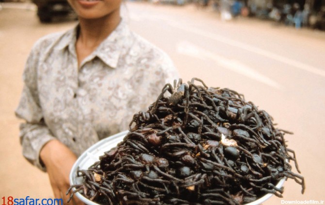 عجیب و غریب ترین غذاهای جهان: از عنکوب سرخ شده تا اختاپوس زنده (+عکس)