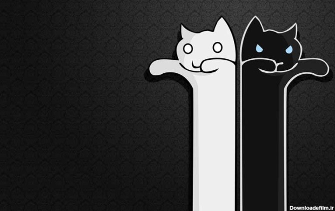 دانلود عکس فانتزی گربه های سفید و سیاه | تیک طرح مرجع گرافیک ...