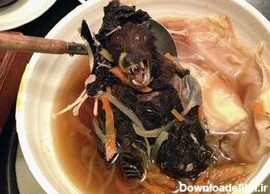 چطور "خفاش، موش، سوسک، سگ، قورباغه" وارد رژیم‌ غذایی چینی‌ها شد ...