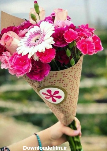 عکس گل زیبا | تصاویر گل های بسیار قشنگ برای پروفایل و پس زمینه