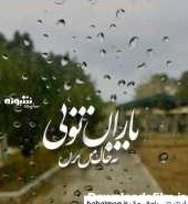 خرید و قیمت باران سلام