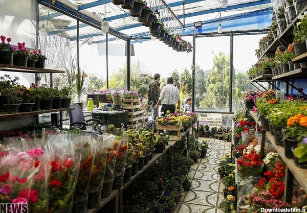 بازار گل و گیاه غرب تهران (عکس)