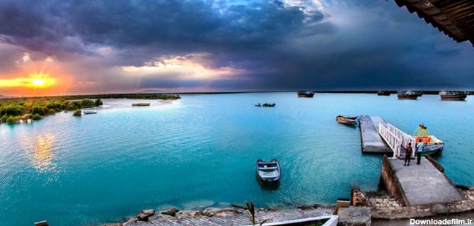 جنگل دریایی حرا در میان آب های خلیج فارس + عکس