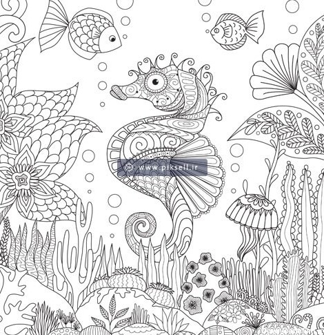 وکتور اسب ماهی و دریا بصورت نقاشی شده خطی با پسوندهای لایه باز