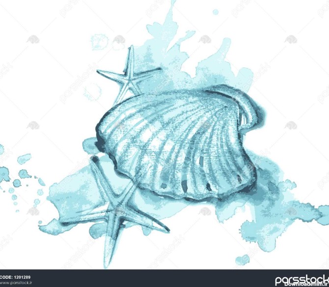ilration نقاشی با مداد رنگی و آبرنگ صدف دریایی و ستاره و اسپری 1201289