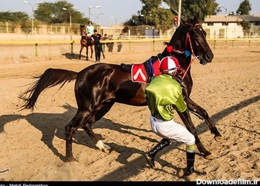 بیست و ششمین جشنواره اسب اصیل عرب - اهواز
