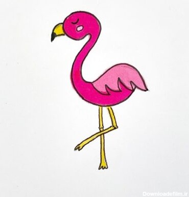 نقاشی پرنده قو