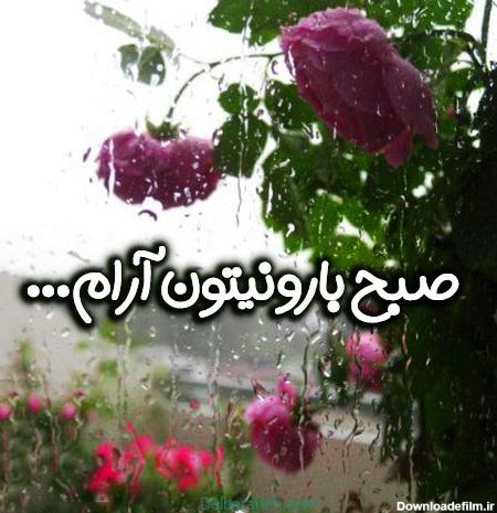 عکس صبح بخیر بارانی | 100 عکس نوشته صبح بخیر برای روز بارونی - دلبرانه
