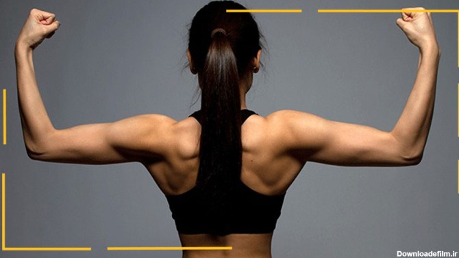 تقویت عضلات با کمک ورزش بالاتنه در منزل با کمک کش بدنسازی و دمبل