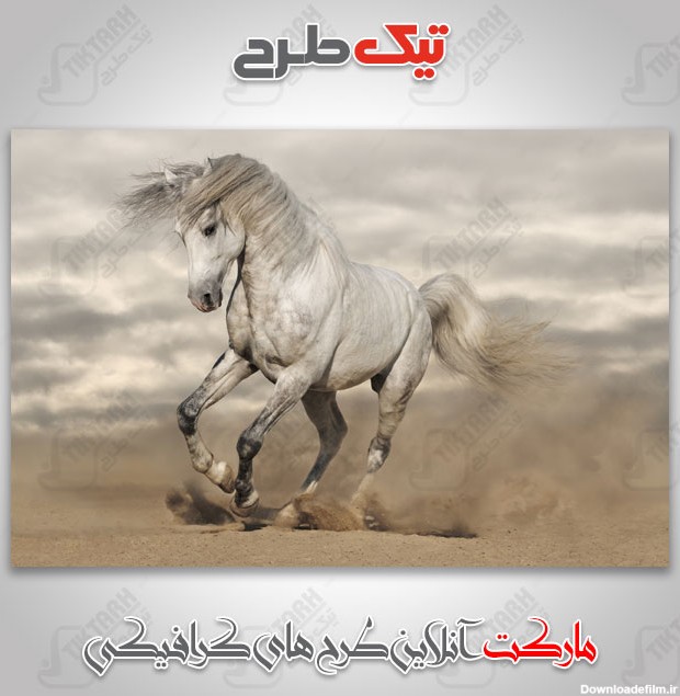عکس با کیفیت اسب در حال دویدن | تیک طرح مرجع گرافیک ایران