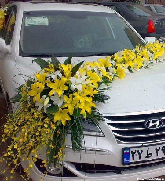 گل ماشین عروس - قیمت ۱۴۰۲/۰۷/۲۴