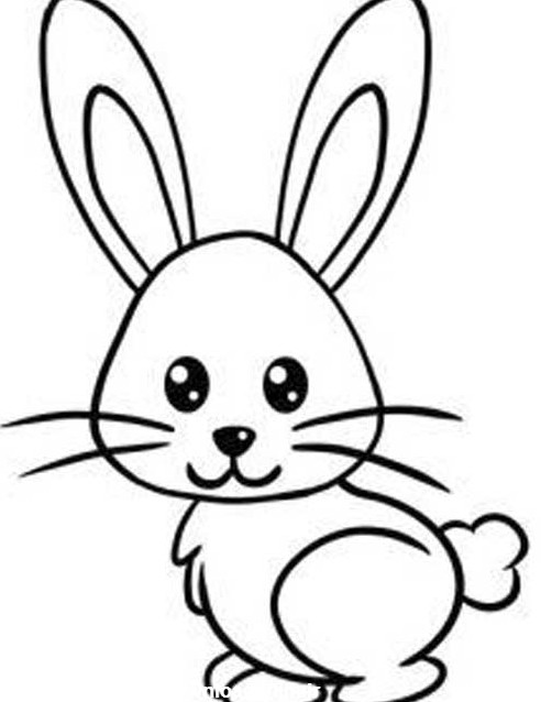 عکس خرگوش نقاشی شده