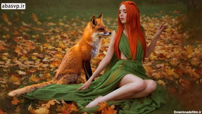تصویر روباه Fox Photo Overlays - دانلود رایگان فایل های لایه باز