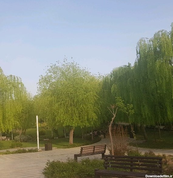 Photos at Iranzamin Park | پارک ایران زمین - منطقه ۲ - Iranzamin St.