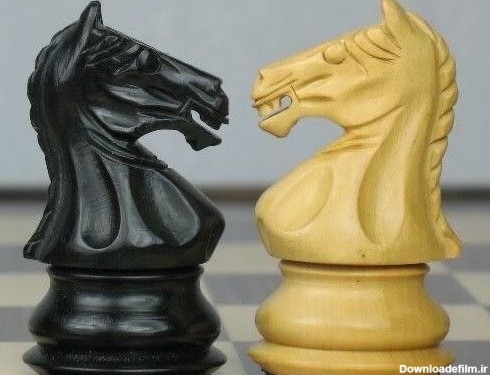 Fierce Knight! - Chess Forums - Chess.com