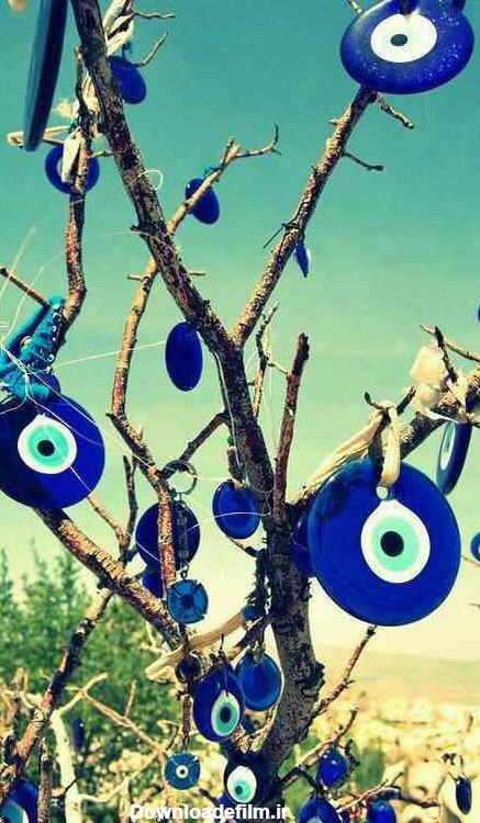 درخت چشم نظر - عکس ویسگون