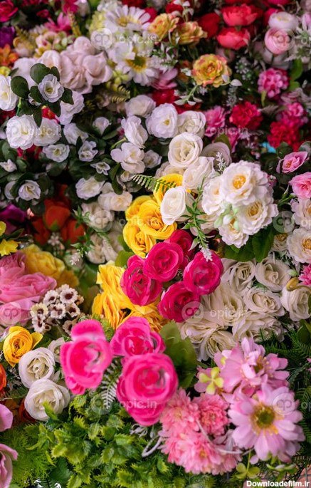 دانلود عکس بسیاری از گل های مصنوعی رنگارنگ در حال شکوفه دادن پس ...