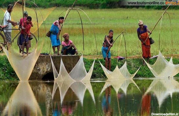 یک عکس زیبا از ماهیگیری سنتی در هند