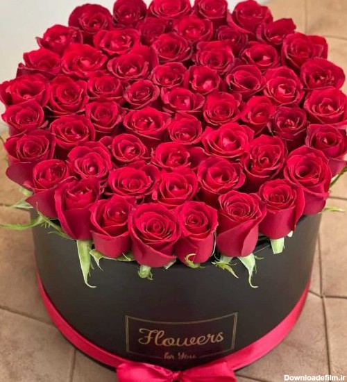 باکس گل رز لاکچری قرمز با 50 شاخه رز هلندی ممتاز - بهترین هدیه برای تولد