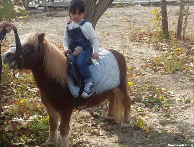 باشگاه اسب سواری کودکان، از تفریحات مینیاتوری بچه‌ها - تهران مبله