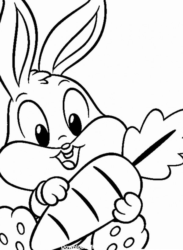 عکس خرگوش برای نقاشی کودکان