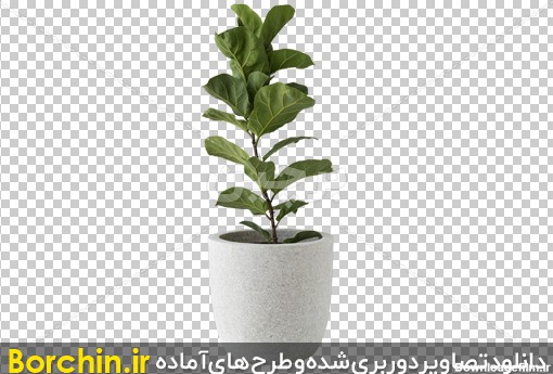 Borchin-ir-plant pot flower pot free PNG image10_png عکس گل سبز زیبا در گلدان بتنی بصورت PNG2