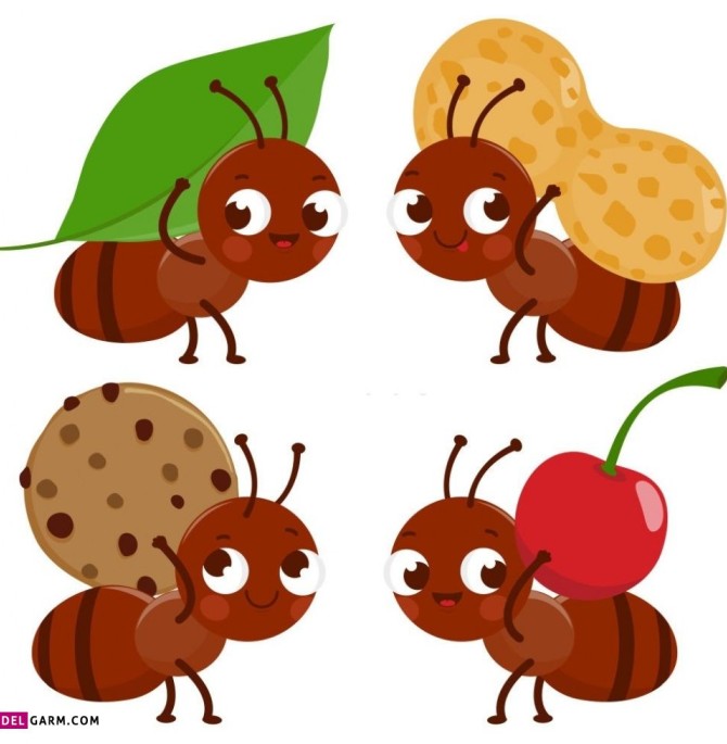 50 نقاشی کارتونی و بامزه مورچه برای رنگ آمیزی کودکان