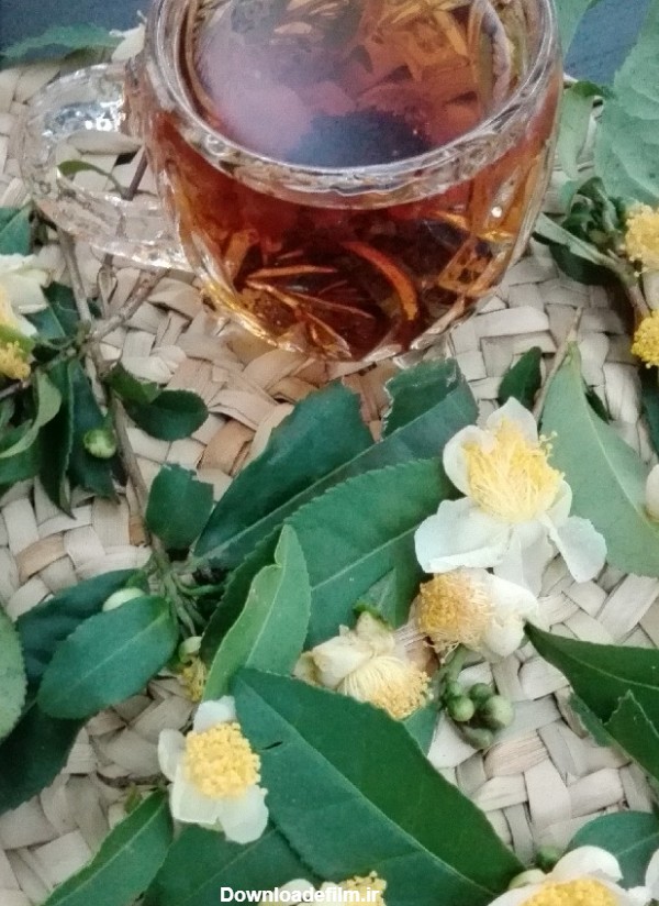 برگ و گل چای | سرآشپز پاپیون