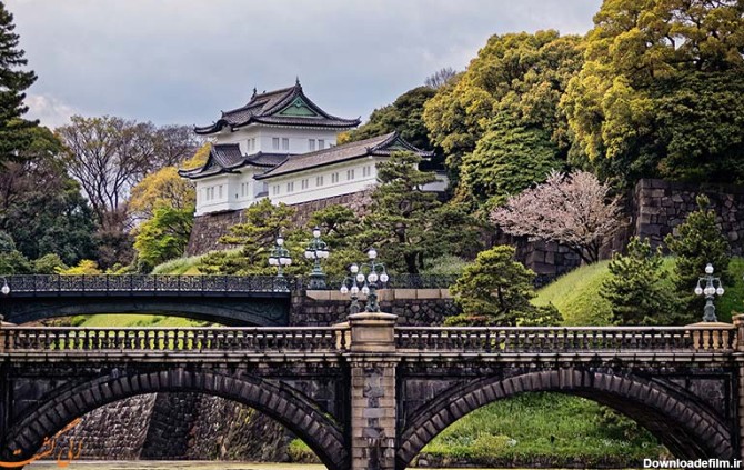کاخ امپراتوری توکیو، جایی برای تماشای شکوفه های گیلاس