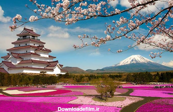 فصل بهار ژاپن را در این تصاویر شگفت انگیز ببینید
