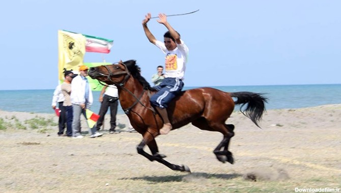 نژاد اسب ایرانی تالشی