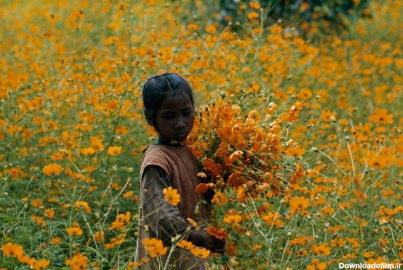 چشم‌نوازی دختری در میان‌ گل‌ها؛ عکس روز نشنال جئوگرافیک