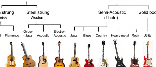انواع گیتار