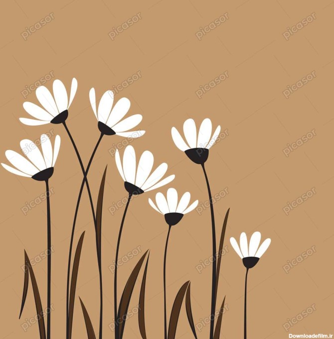 وکتور پس زمینه گلهای سفید کوچک - وکتور گلهای سفید » پیکاسور