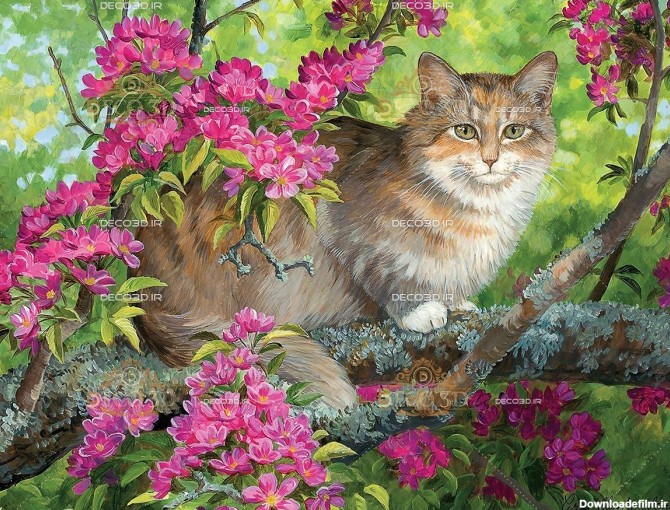 گربه حنایی میان درختان با شکوفه صورتی