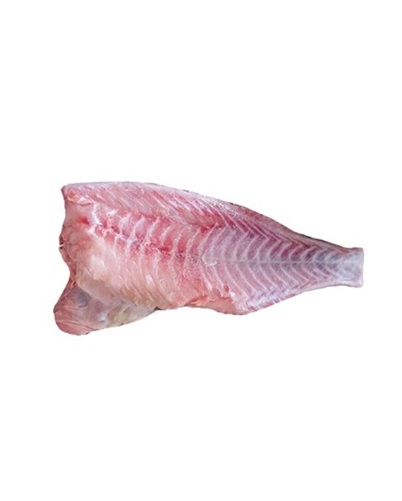 ماهی شانک صورتی – فروشگاه اینترنتی ماهی جنوب
