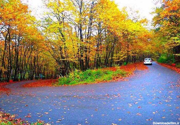 مسیر جاده پارک جنگلی سراوان در پاییز با رنگ‌های زیبا